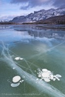 Jasper National Park, Alberta, Canada, Talbot Lake photo