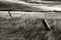 Alberta Prairie
