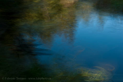 Whitemud Creek