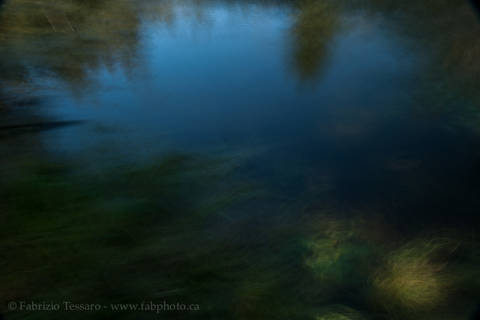 Whitemud Creek