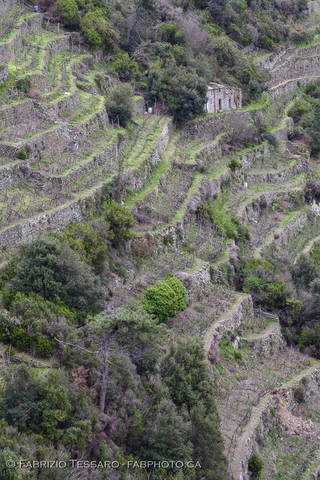 Corniglia-Manarola Hiking Path