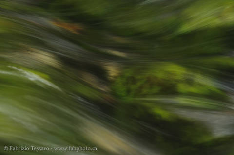 Maligne River