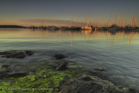 Sidney Harbor