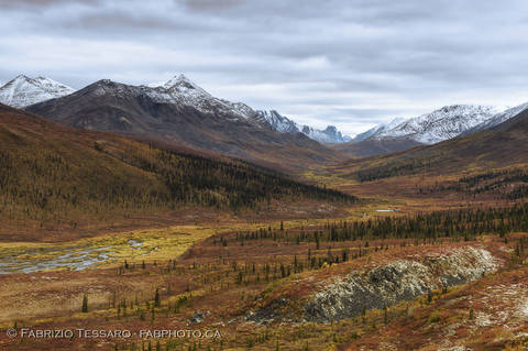 Tombstone Valley Viewpoint