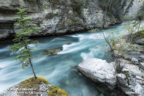Maligne River