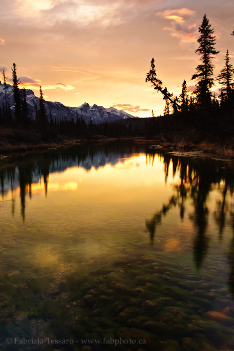 ROCKY RIVER • The Glory Hole | Jasper National Park, Alberta, Canada ...