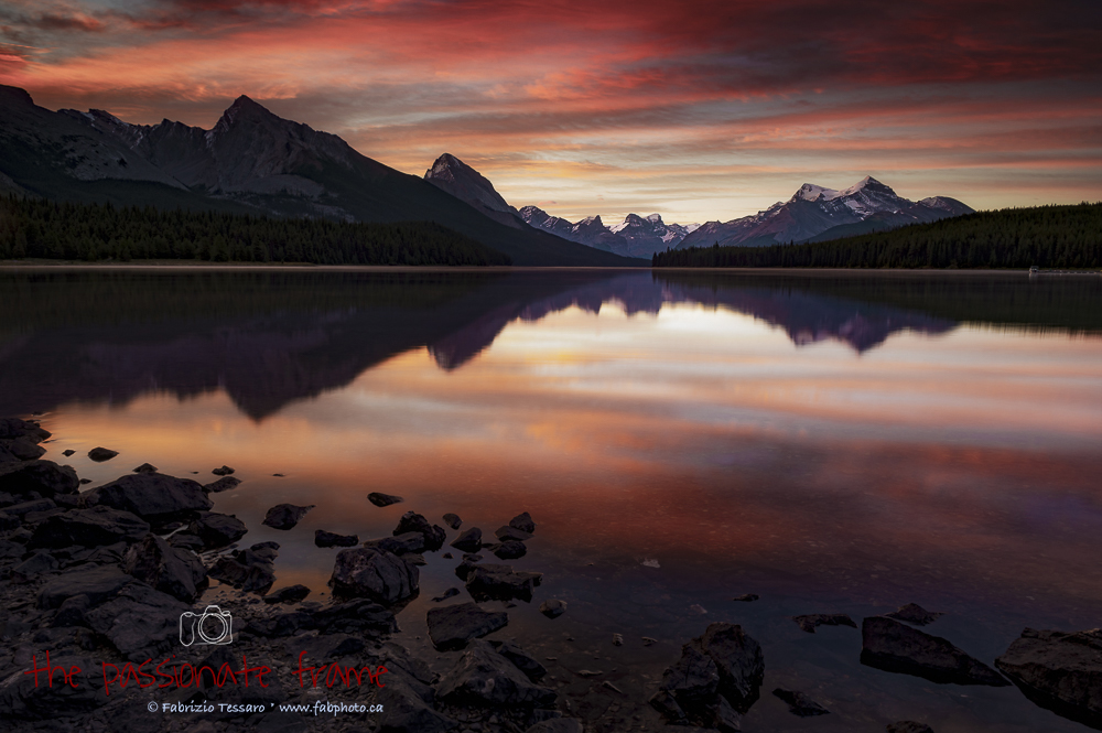 This was my last morning at Maligne Lake and it had been cloudy and overcast for the last 3 days.  The colors were amzing on...